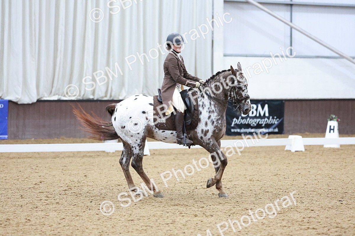 SBM_021398 - Class 14 - FEI Grand Prix - 17.40-18.34