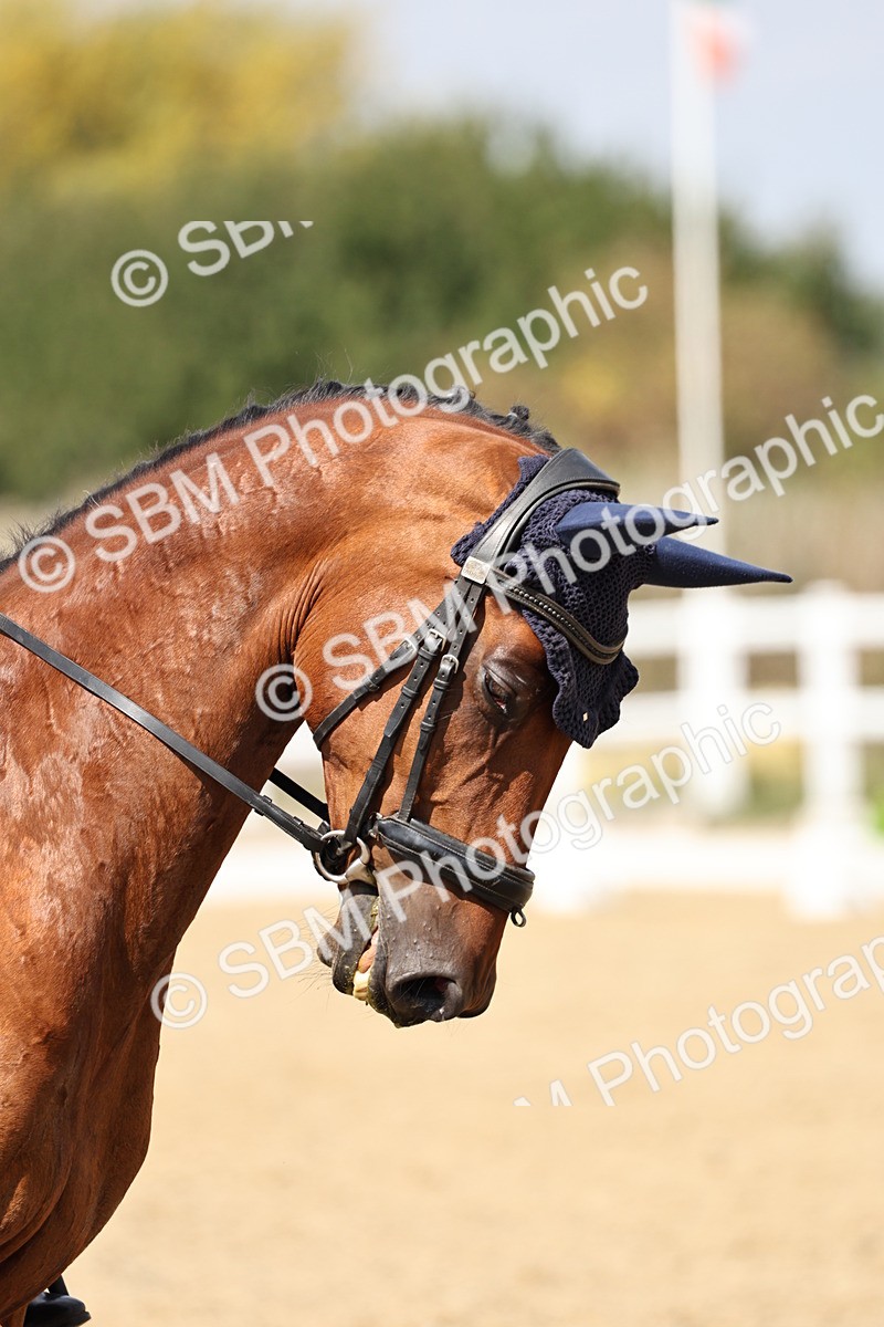 SBM_018677 - Class 16 - Novice 5 - 12.08-13.11