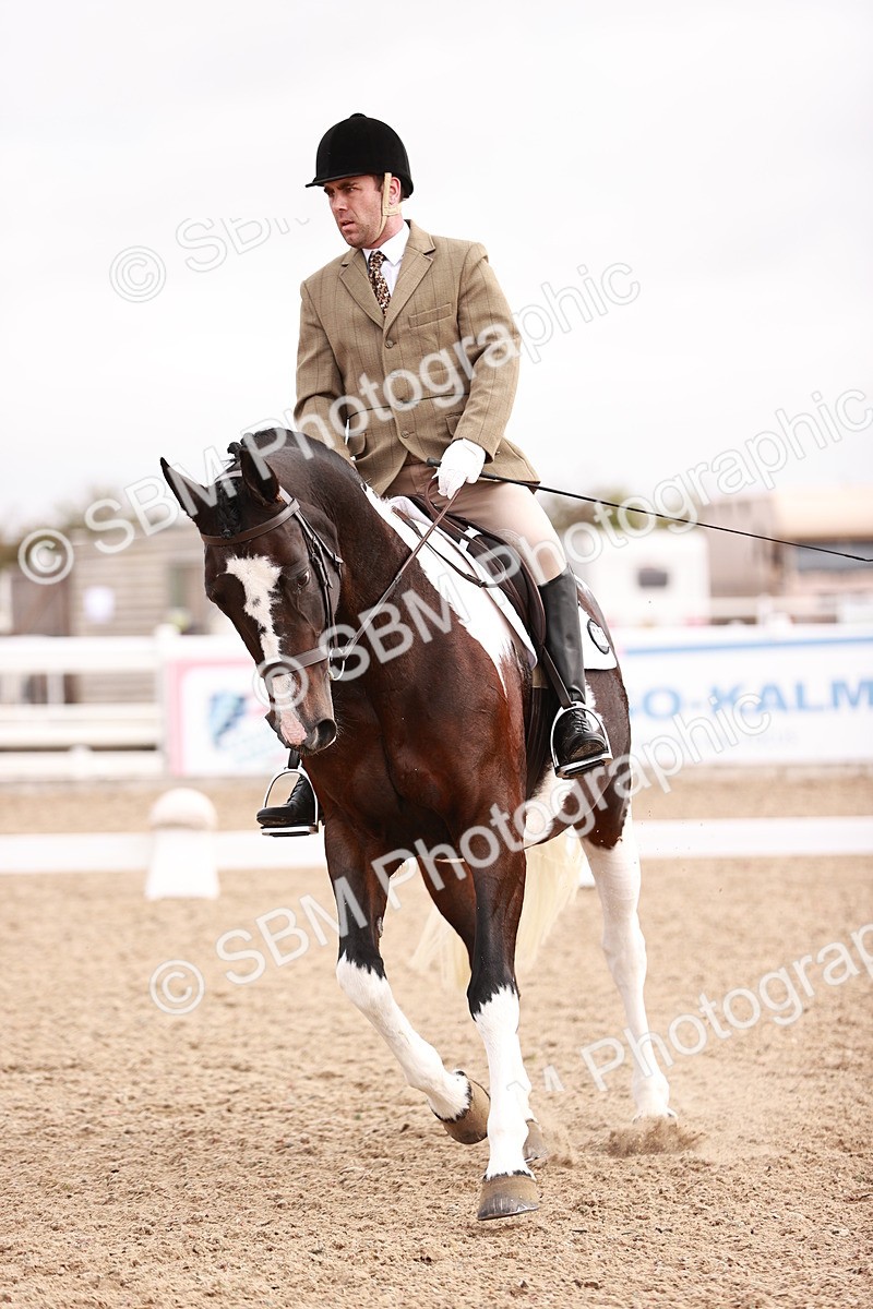 SBM_01808 - Class 34 - Prelim 3