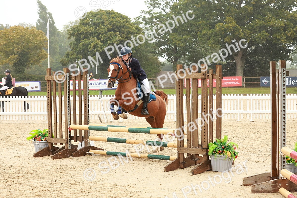 SBM_73348 - Supreme Championship Junior Pony 60cm & 65cm