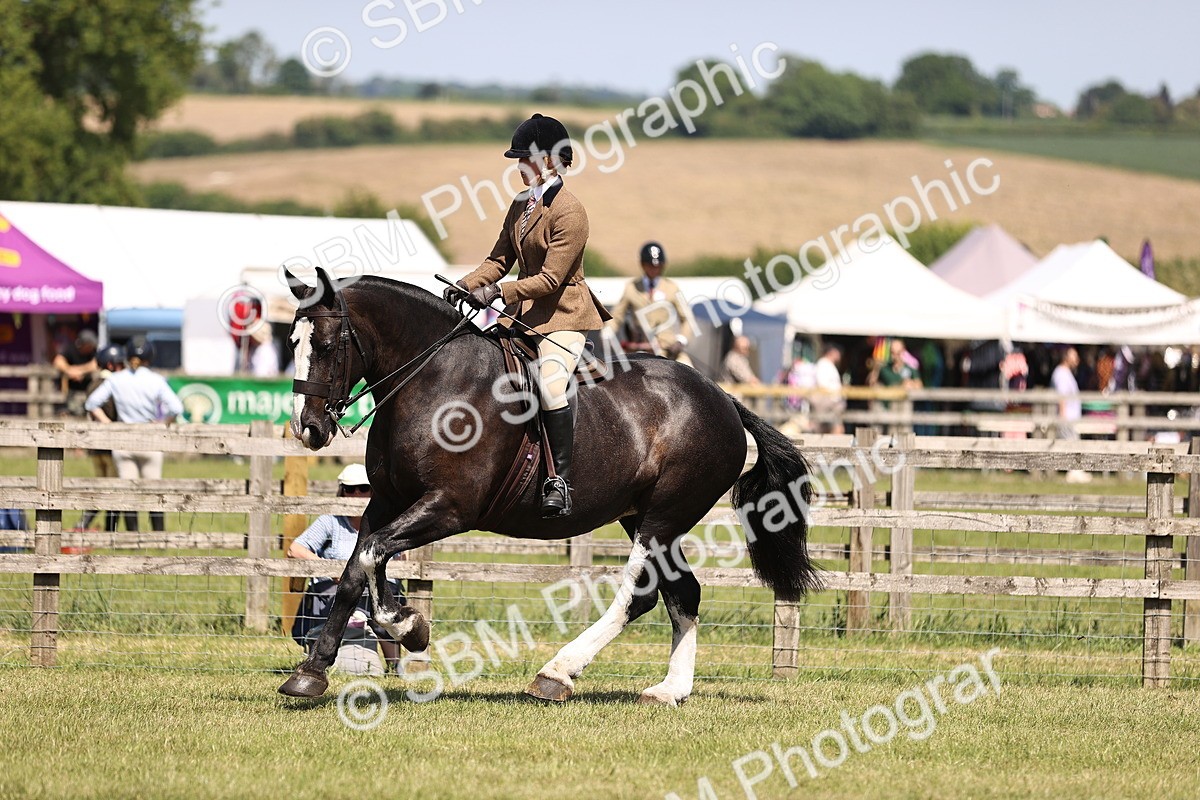 SBM_17884 - Class 81-83 - TSR Ridden Amateur of the Year - Horses