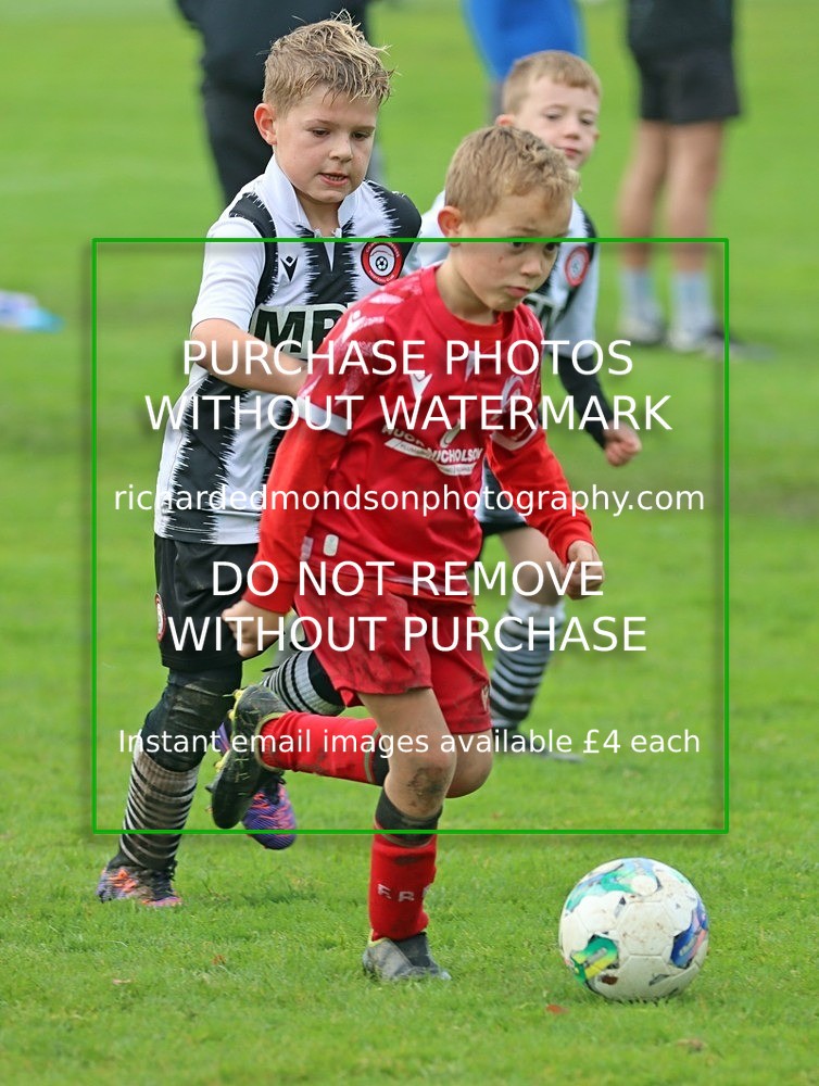 IMG_7199 - Ibis Under 8's (19/10/24)
