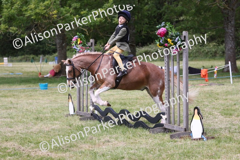 20260614-2045 - Class 21 - Novice Working Hunter Pony