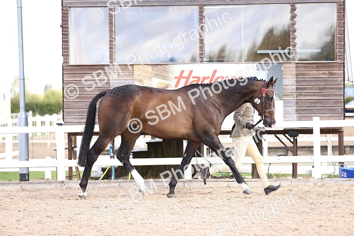 SBM_11510 - Class 407 - IH Hack-Riding Horse