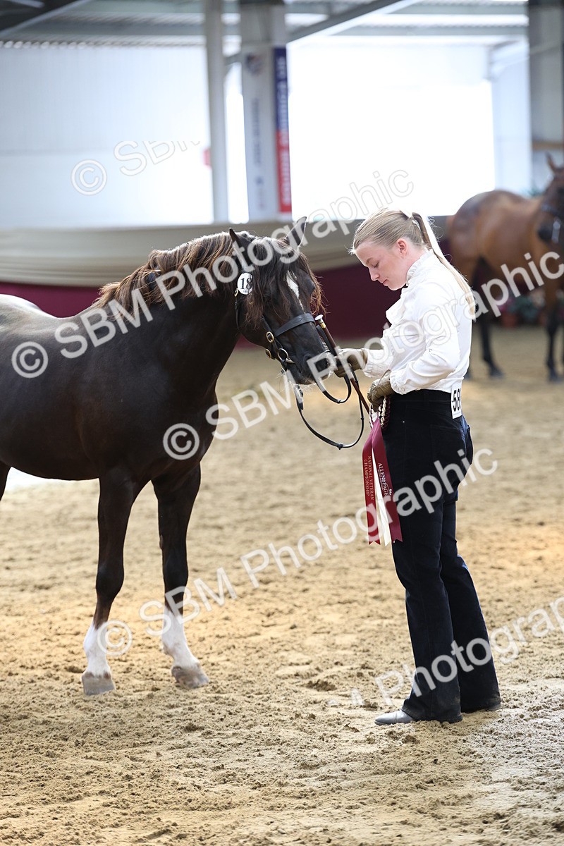 SBM_23428 - Class 903 - Supreme Final - IH Pre Vet