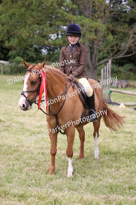 20260614-3177 - Class 22 - Open Working Hunter