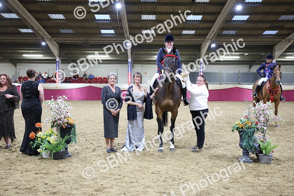 5K7A1518 - Class 108Ridden Retired Racehorse- Final Judging