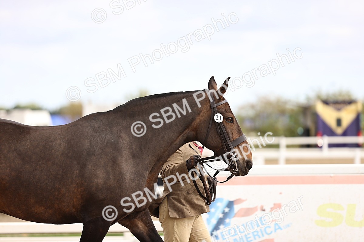SBM_10361 - Class 405 - IH Show Cob