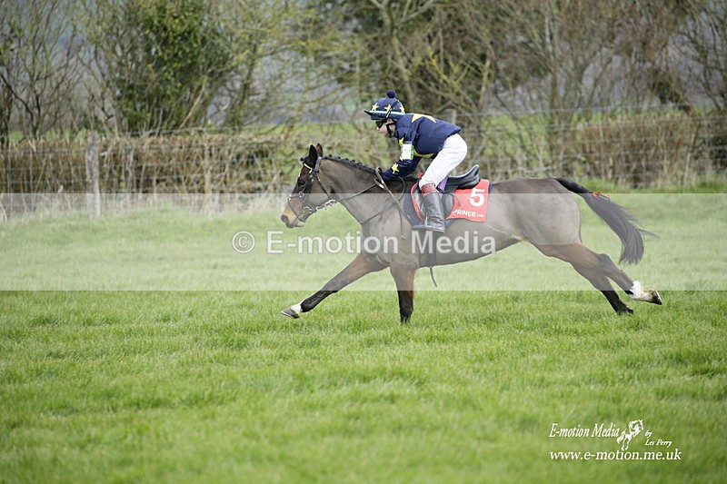 PtP 060322 35 - Blackmore & Sparkford Vale Hunt PtP 06/03/22
