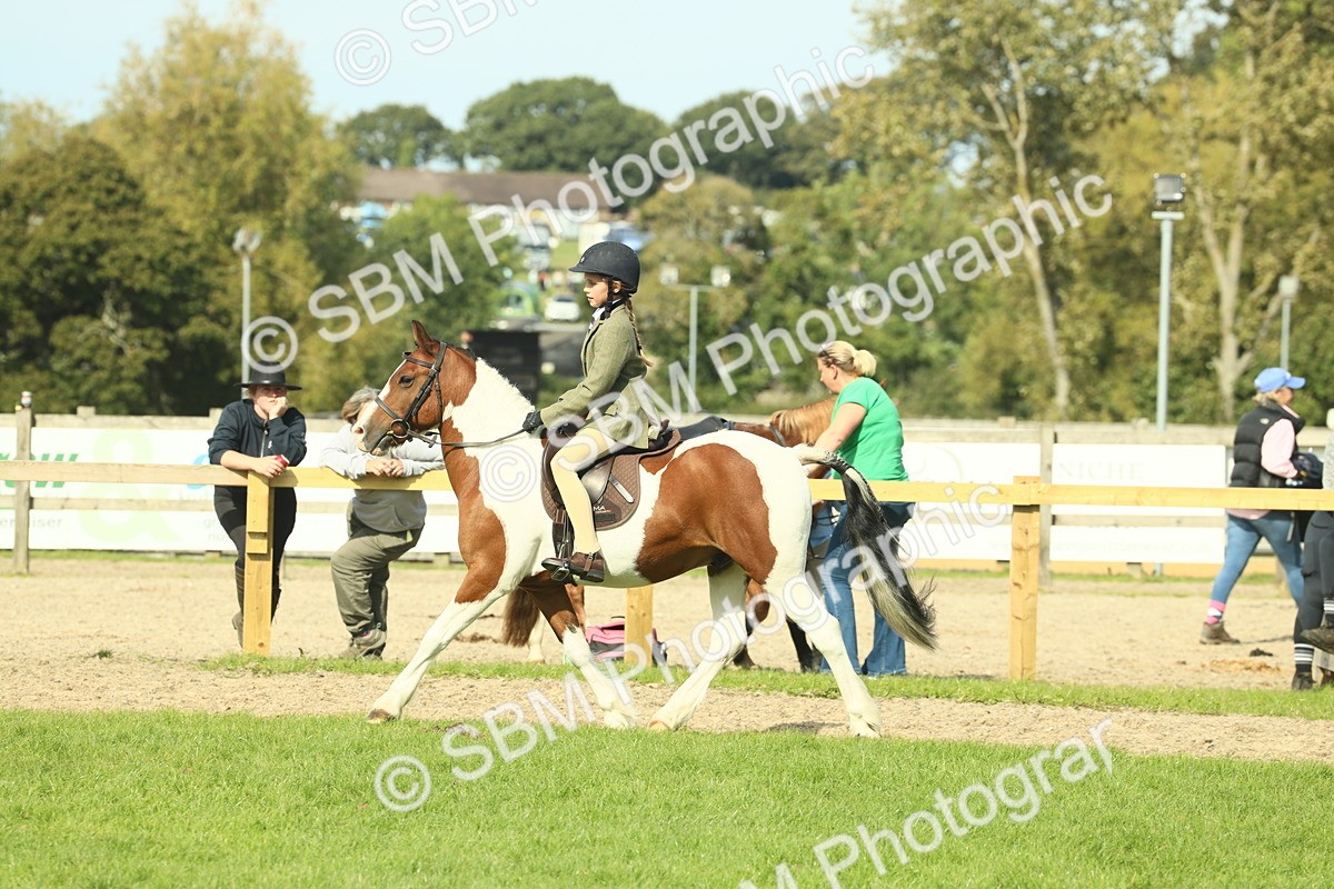 SBM_68920 - S58 - Mini Show Cob Ridden