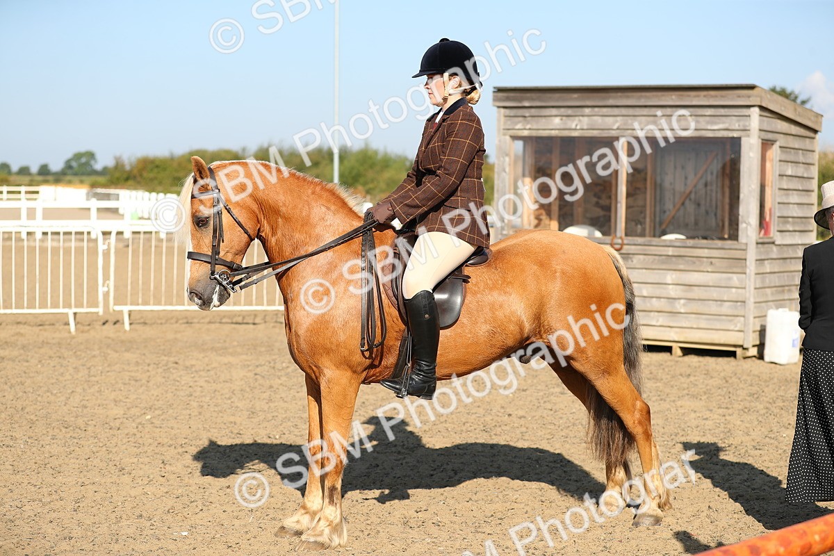 SBM_01196 - Class 42 Ridden Veteran