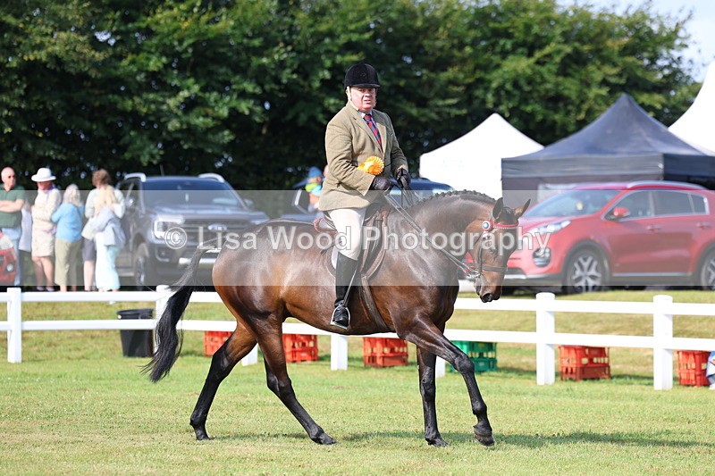 3E7A8426 - Class 2: Rising Star Large Hack/Riding Horse