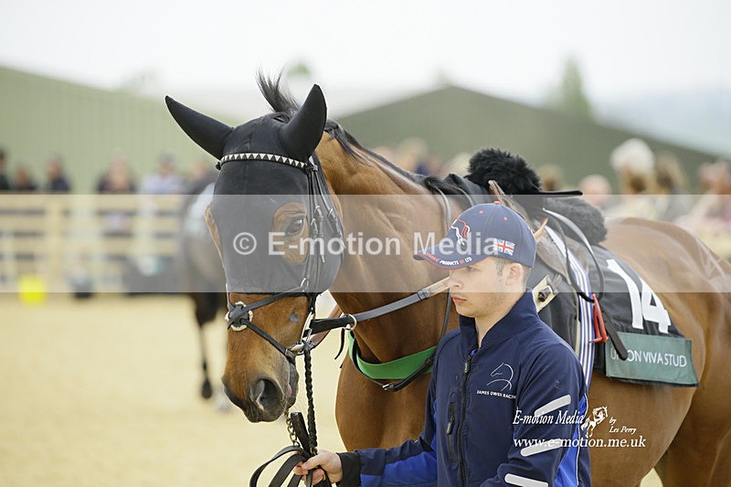 PtP 020522 60 - Mollington Races Point-to-Point 02/05/22