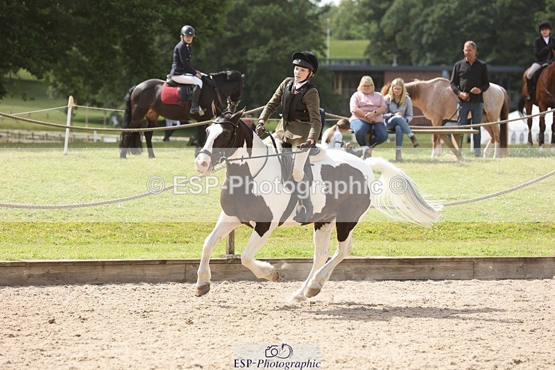 240616-161519-05209 - 80cm 3.30 to End