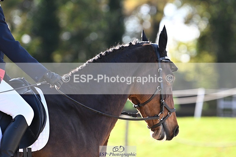 231110-123000-00702 - Cls 3 Novice 22