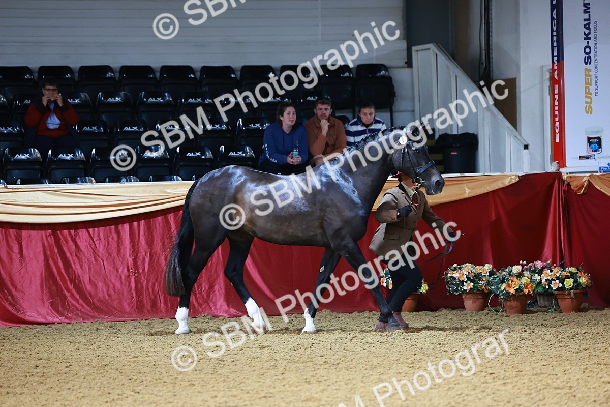 SBM_21721 - Class 901 - Supreme Final - IH  Diamond