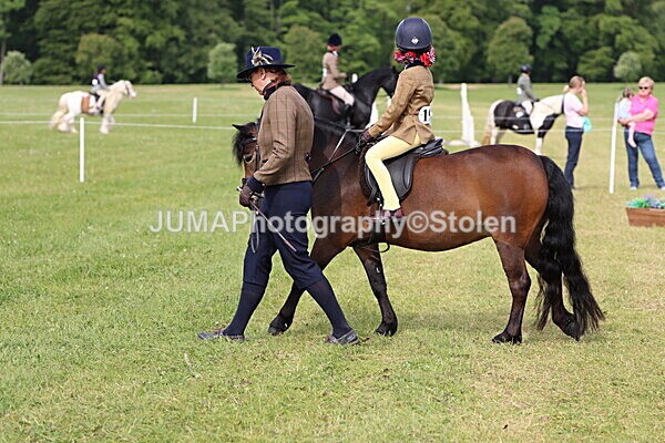 IMG_2268 - Working Hunter