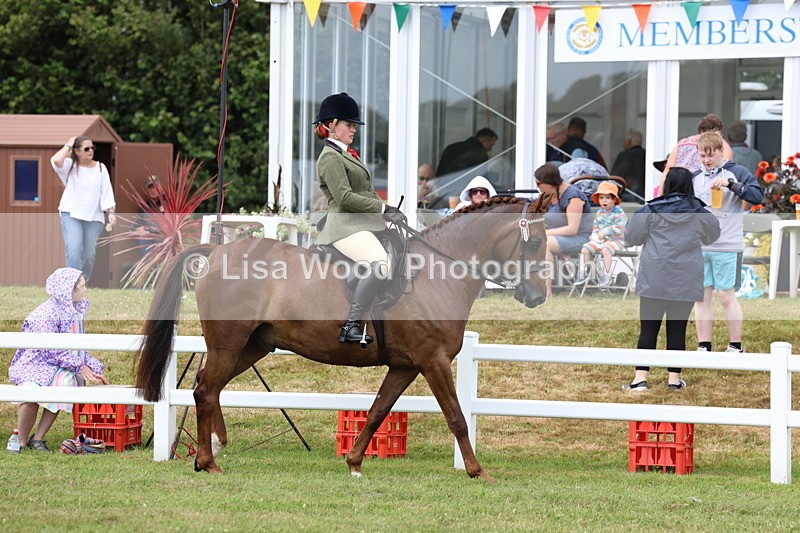 3E7A0803 - Class 8: Open Riding Horse/Hack