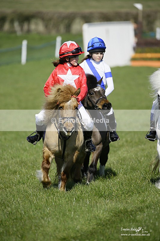 PtP 190322 49 - Wilton Hunt PtP Milborne St Andrew 19/03/22