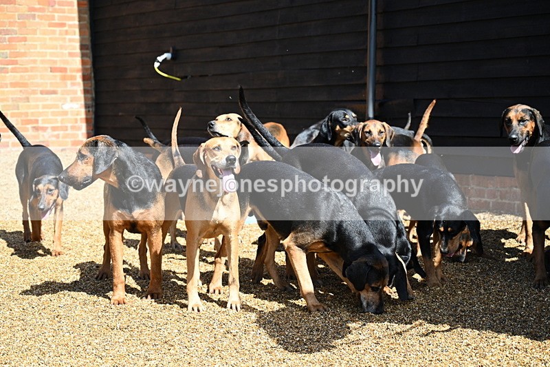 WJ7_7101 - Berks & Bucks at Blandy’s Farm 31-08-25