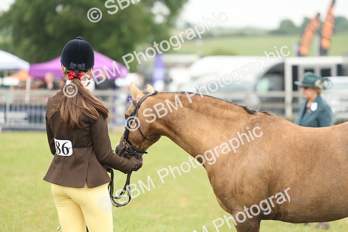 SBM_07119 - Class 76-77 - Ridden M&M Welsh Ponies