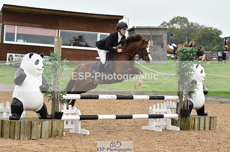 230902A-113912-00786_Cls 2B Pony Small 80cm - 077-495-3031
