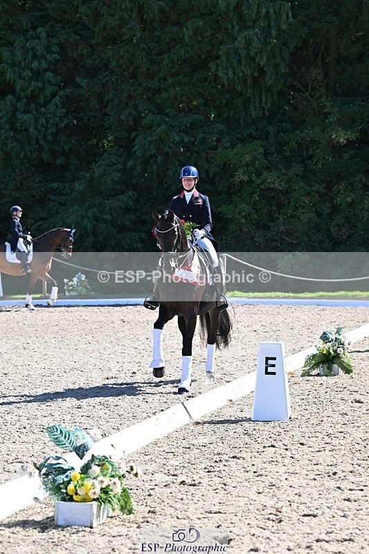 240811-154047-06760 - Inter I Gold