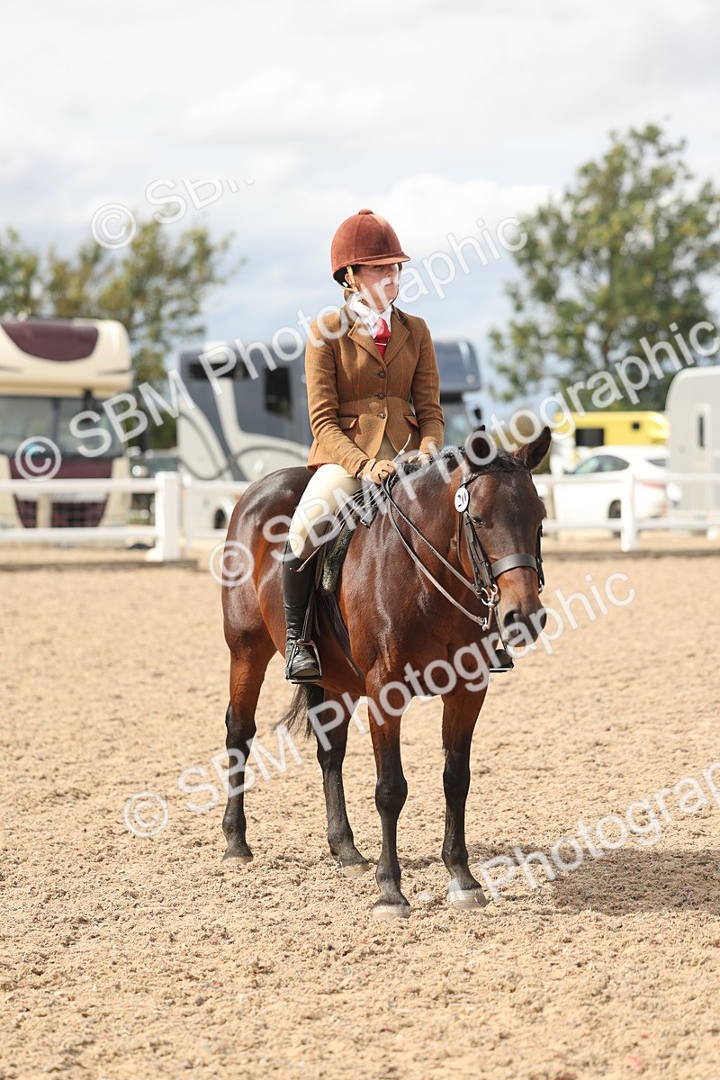 SBM_18028 - Class 314 - Family Horse Pony