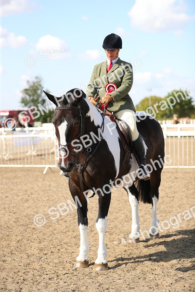 SBM_03266 - Class 44 Riding Club Horse/ Pony