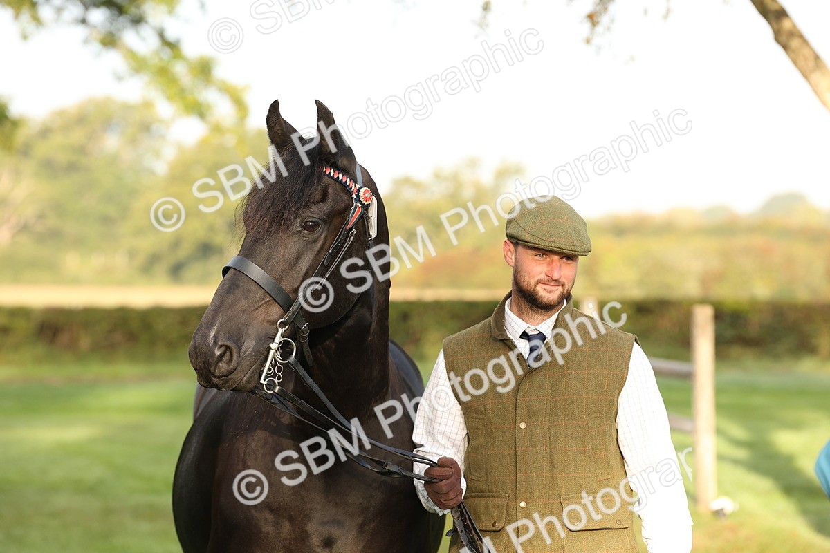 SBM_54446 - S51 - Foreign Breeds In Hand