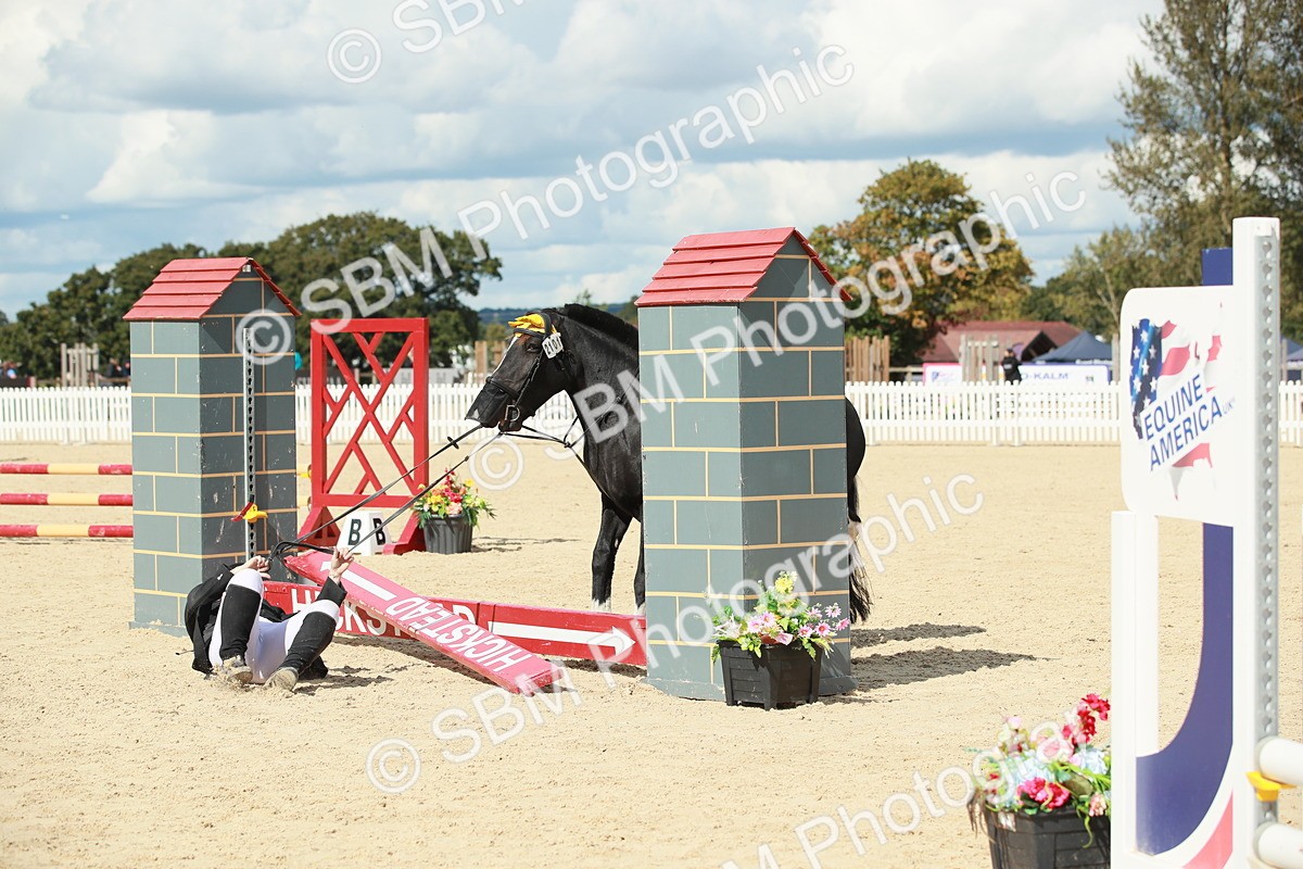 SBM_06229 - J29 Senior 65cm Championship