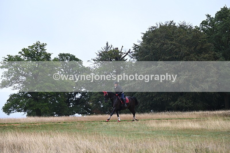 DSC_1686 - Time at Statue 12:13 to 12:32