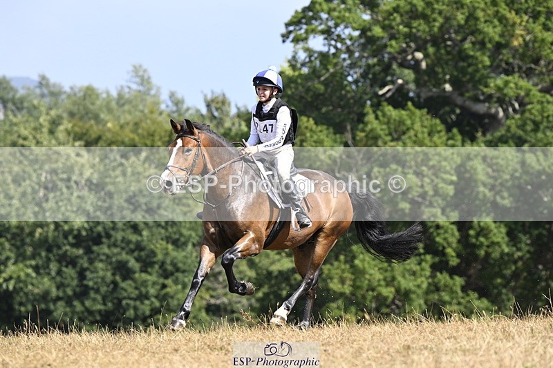 250824A-145229-38843 - 2147-George.Walford-meadow.sweet.conker