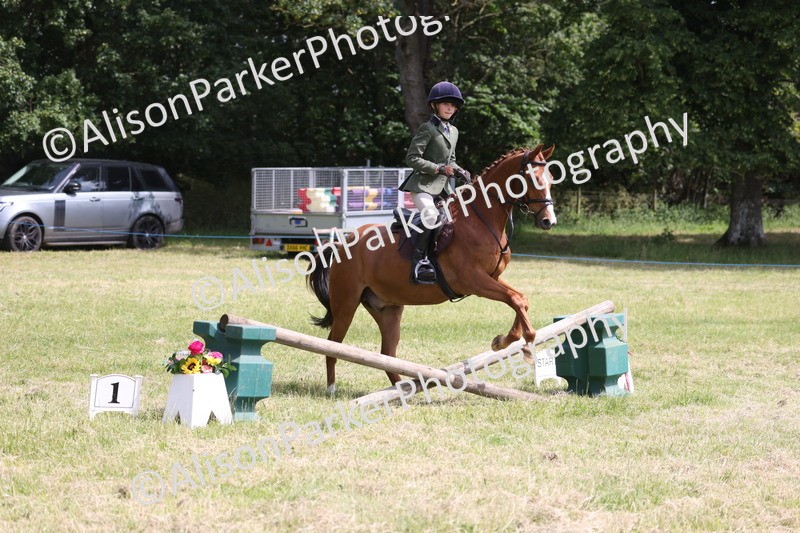 20260614-1846 - Class 21 - Novice Working Hunter Pony