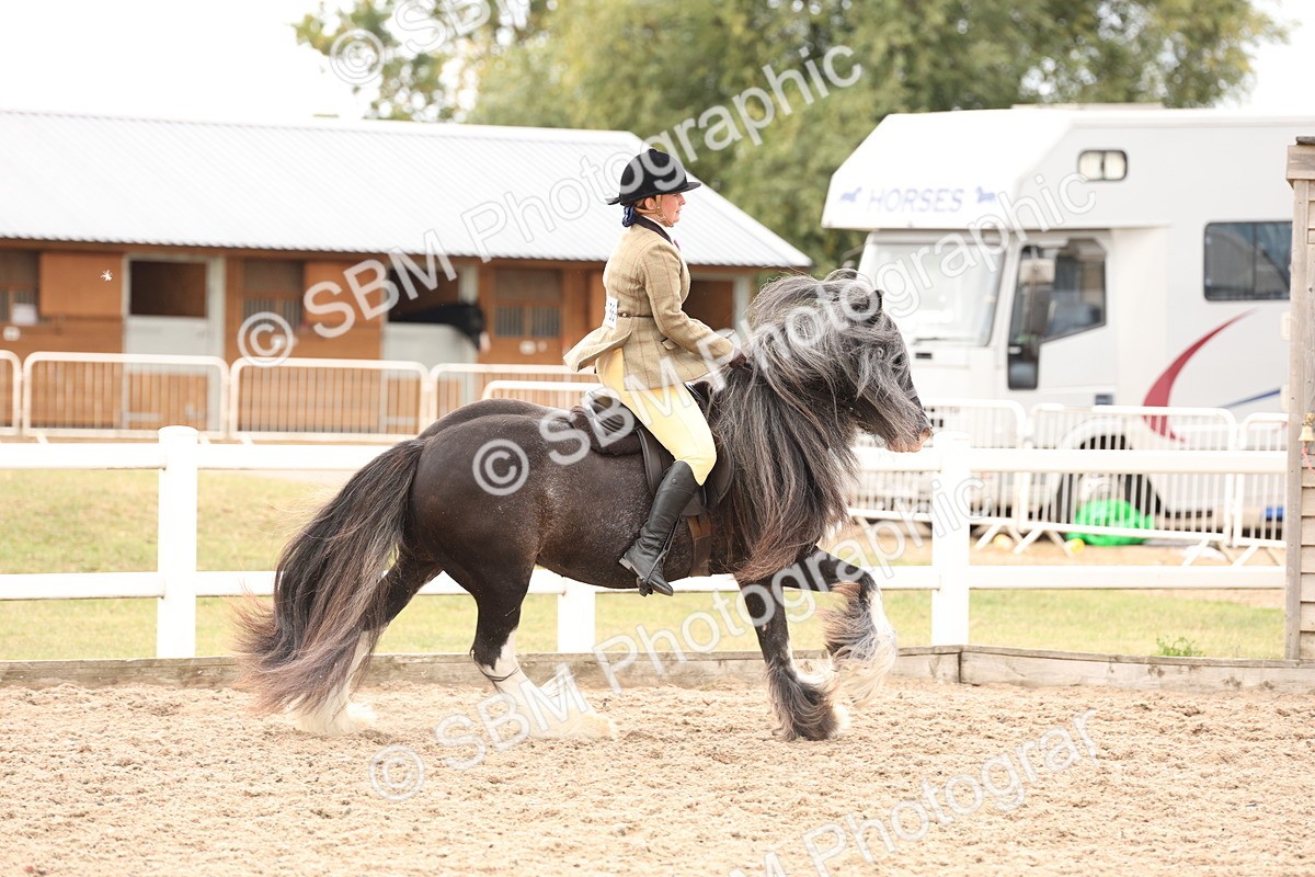 SBM_19658 - Class 216 - Ridden Traditional - Native Cob