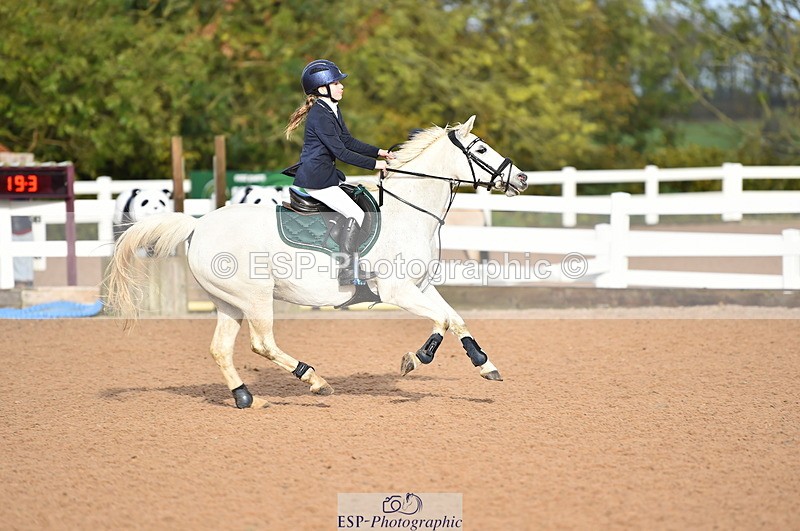 231028A-102902-00435 - Cls 1 Pony 70cm