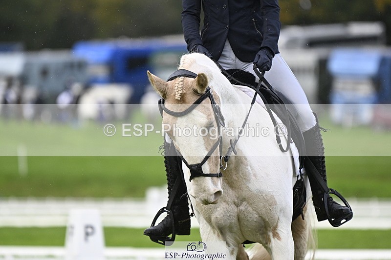 251023A-133926-04122 - D-324-Clare.Pascoe