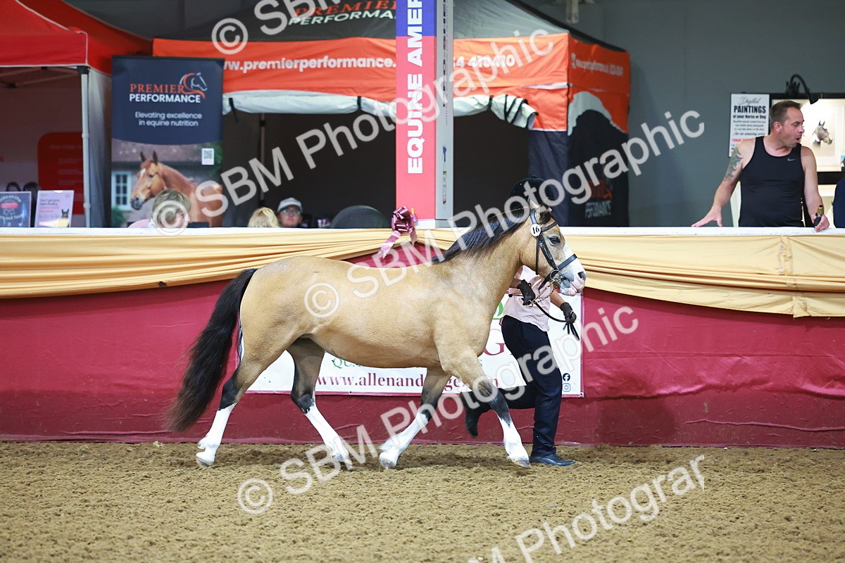 SBM_14680 - Class B - Junior Champ 11 to 16 Years