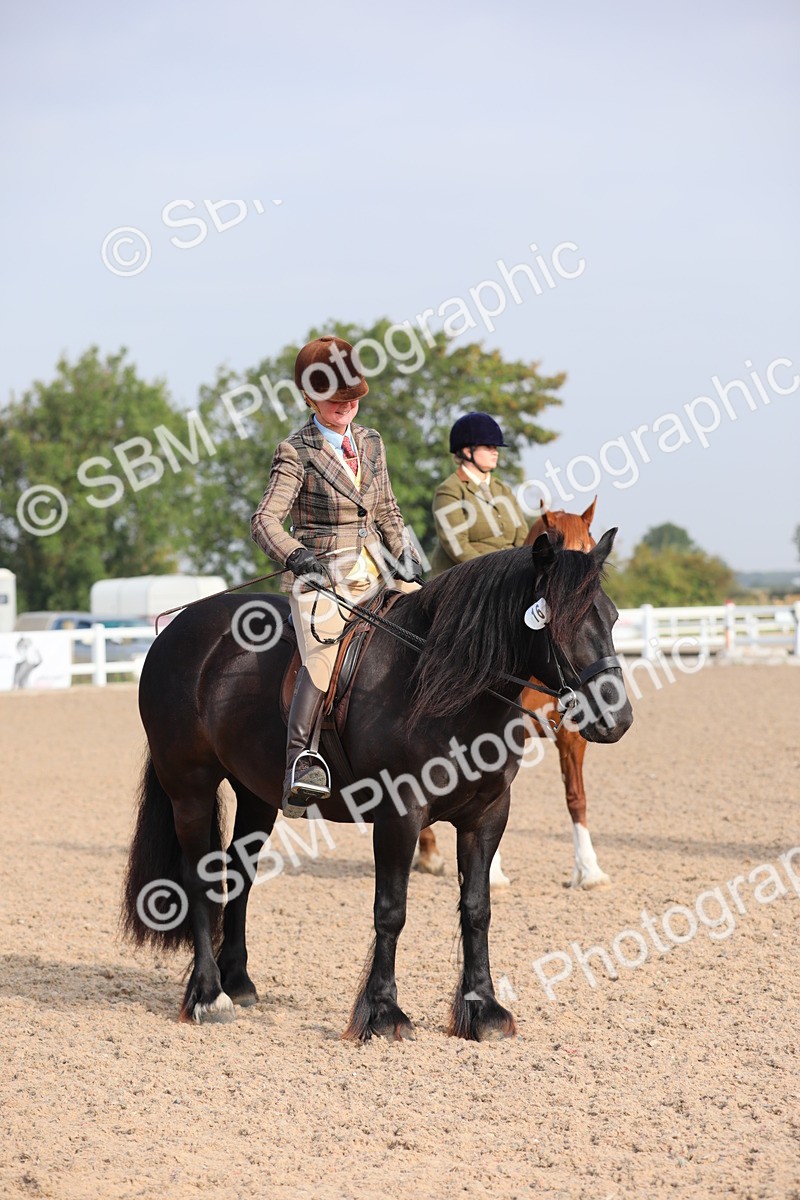 SBM_10126 - Class 302 Ridden M&M -Large Breeds