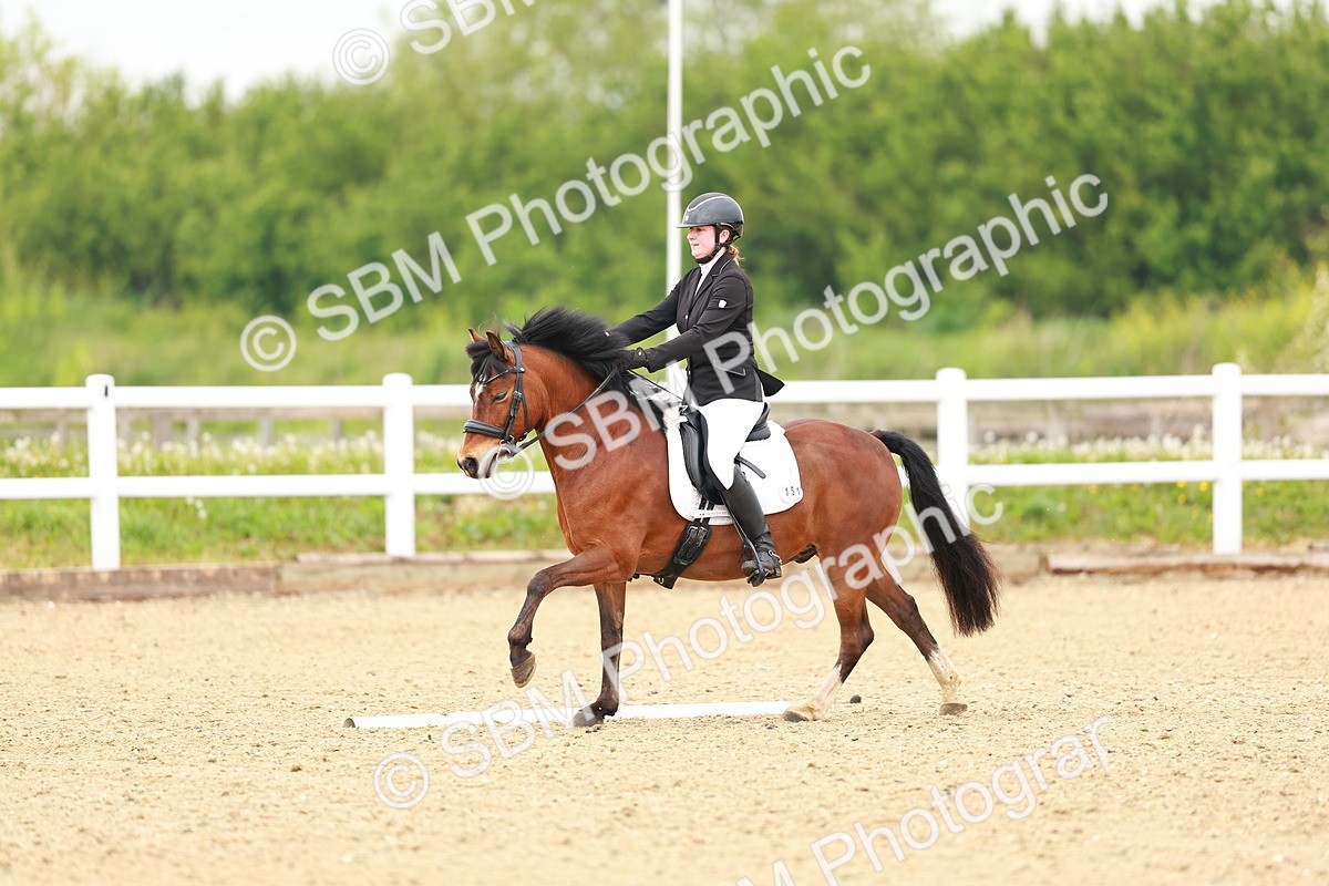 SBM_005275 - Class 16 - Novice 6