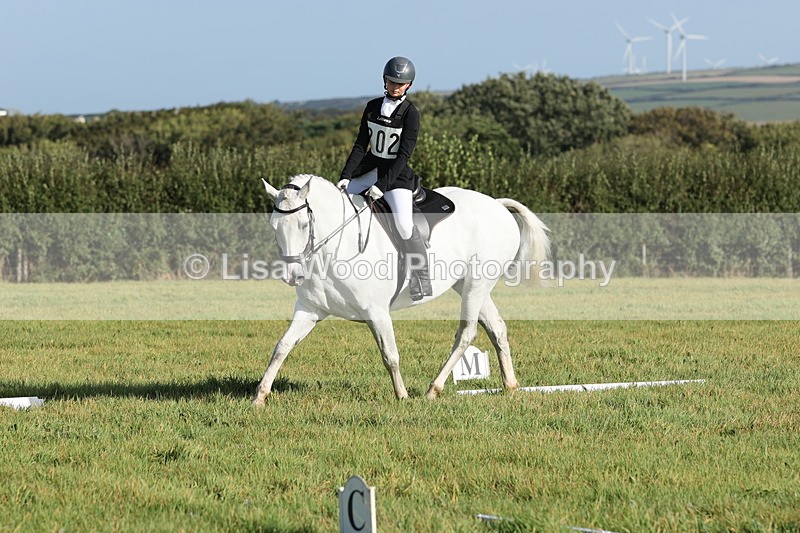 JPP_7850 - Class 2A: Trekenning Open: Dressage