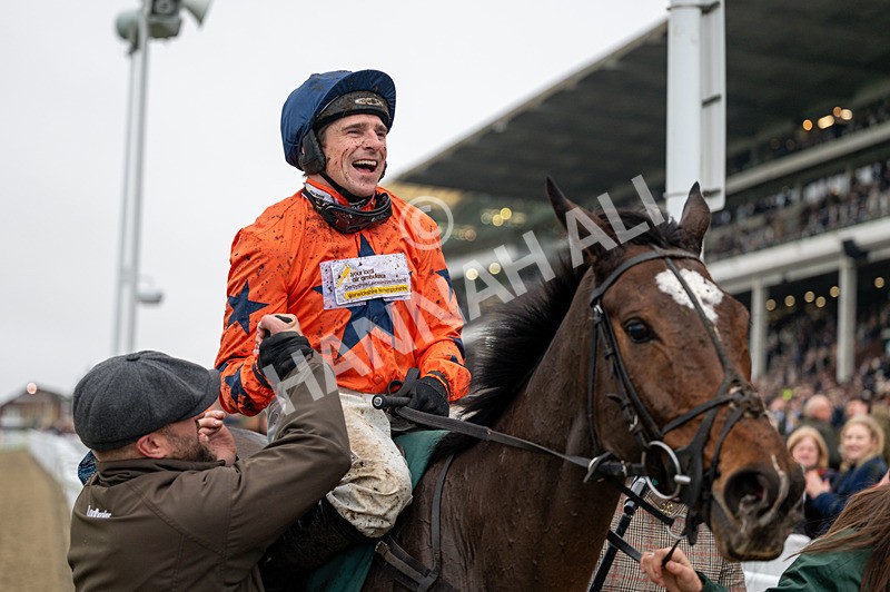 151125-Race 4-Panic Attack-0909 - Race 4