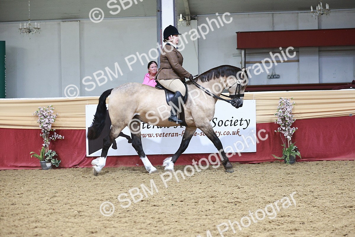 SBM_08814 - Class 12R - Regional Ridden Pre-Vet
