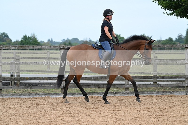 WJ7_8254 - Poles 11:00am