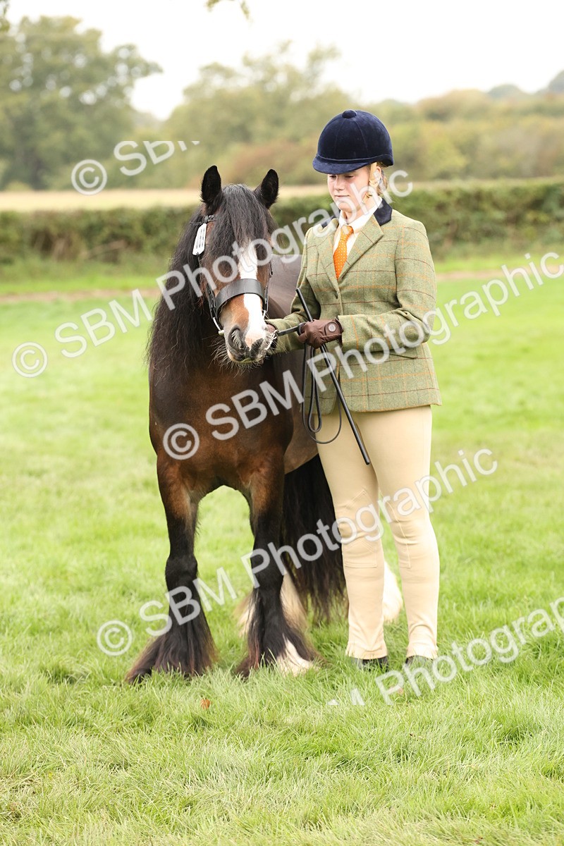 SBM_59358 - S57 - Traditional Cob In Hand