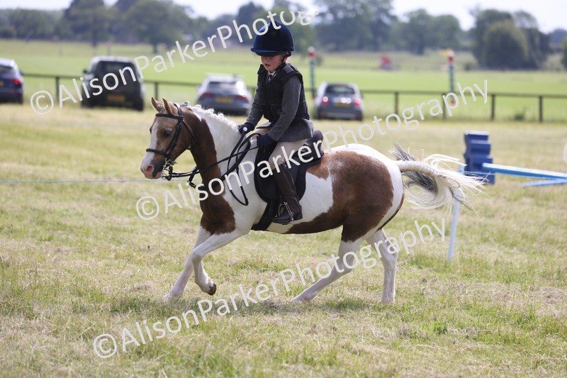 20260614-0702 - Class 20 - Beginners Working Hunter Pony