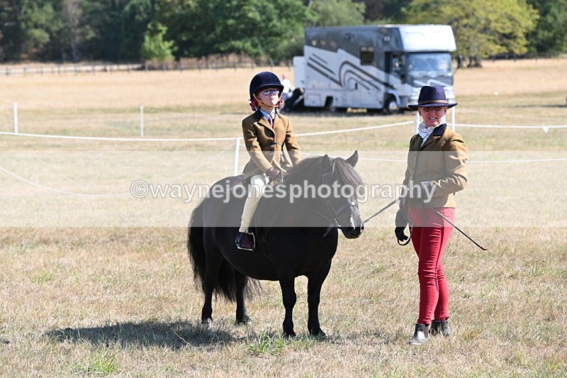 WJ6_7567 - Class 34 Judges Choice