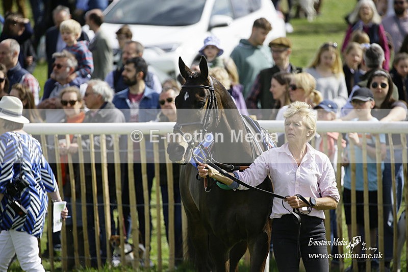 PtP 180422 21 - Old Berkshire PtP Lockinge 18/04/22