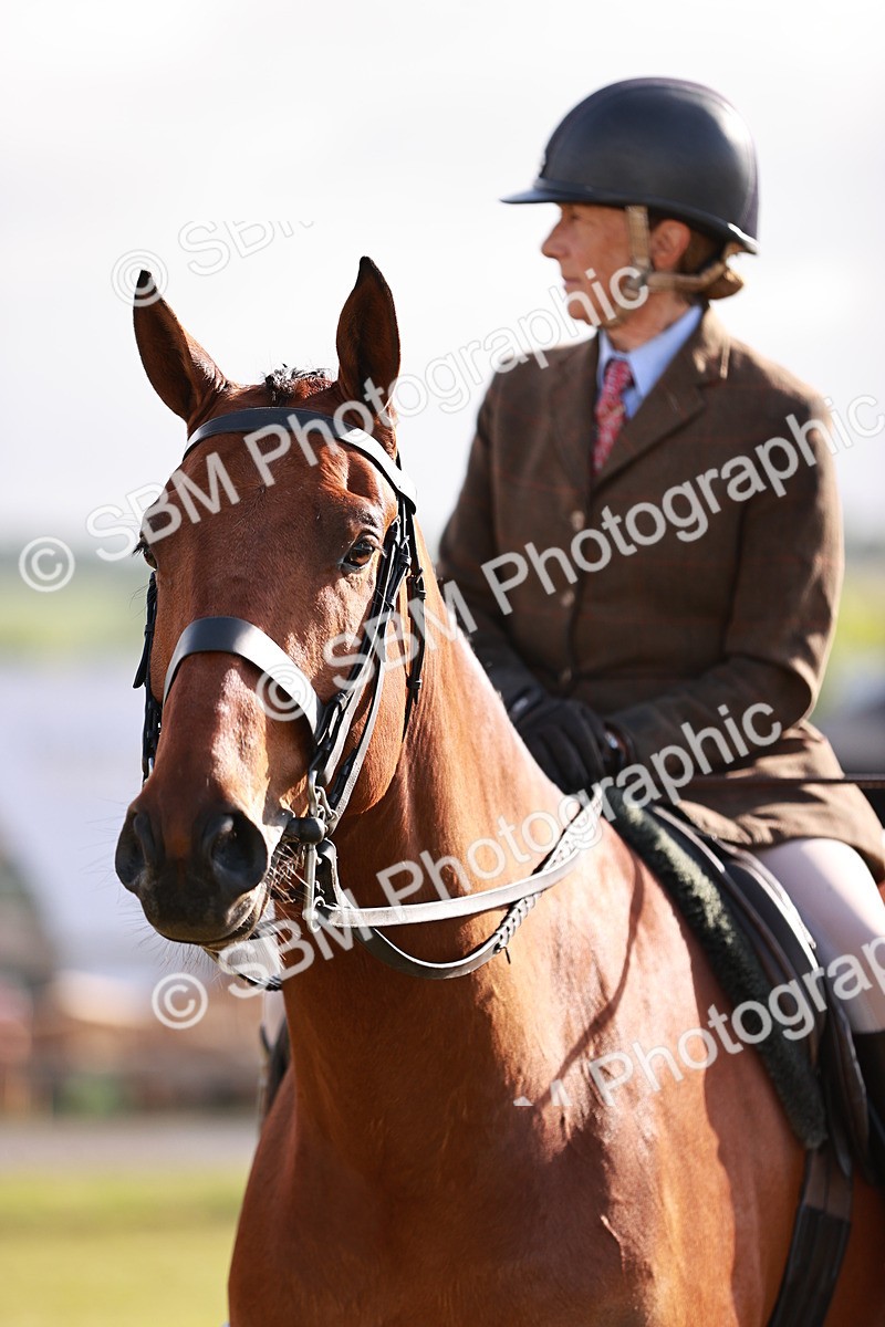 SBM_10819 - Class 81-84 - RIHS Ridden hunters Inc Ladies Hunter