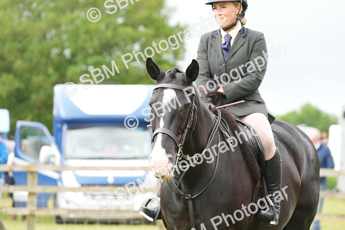SBM_12789 - Class 97-98 - LIHS BSHA Rising Star Working Show Horse Hunter